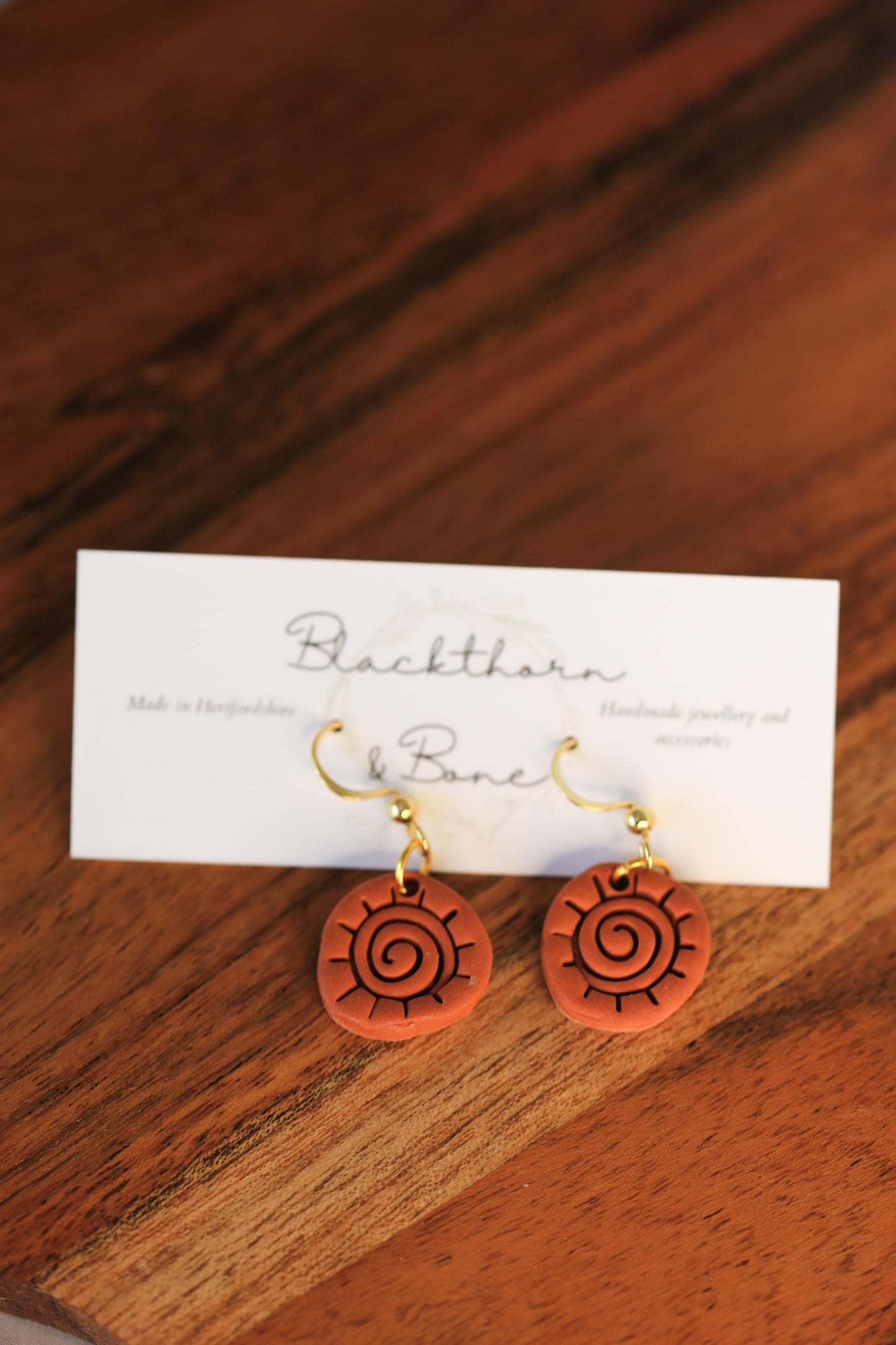 Ancient Sun Spiral Earrings